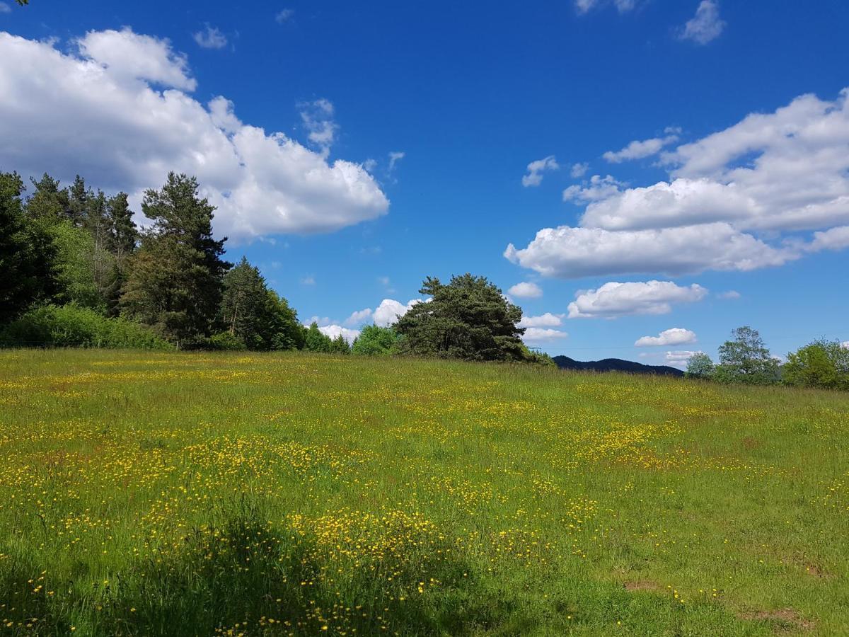 Hoellenbergblick Spirkelbach المظهر الخارجي الصورة