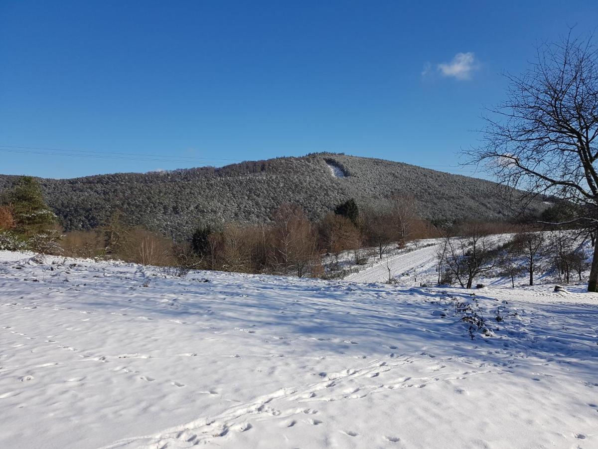 Hoellenbergblick Spirkelbach المظهر الخارجي الصورة